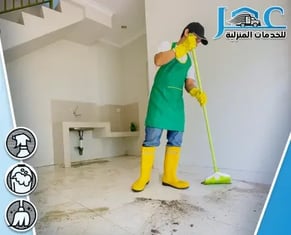 cleaning-6-450x364